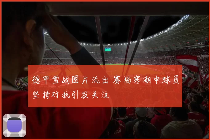 德甲雪战图片流出 赛场寒潮中球员坚持对抗引发关注