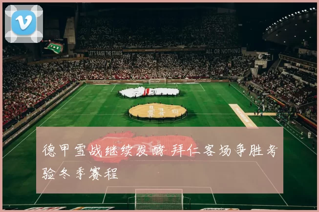德甲雪战继续发酵 拜仁客场争胜考验冬季赛程