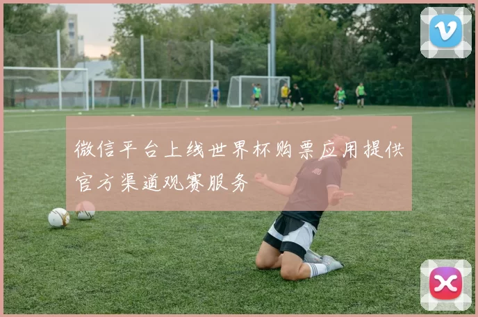微信平台上线世界杯购票应用提供官方渠道观赛服务