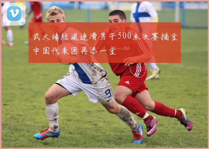 武大靖短道速滑男子500米决赛摘金中国代表团再添一金